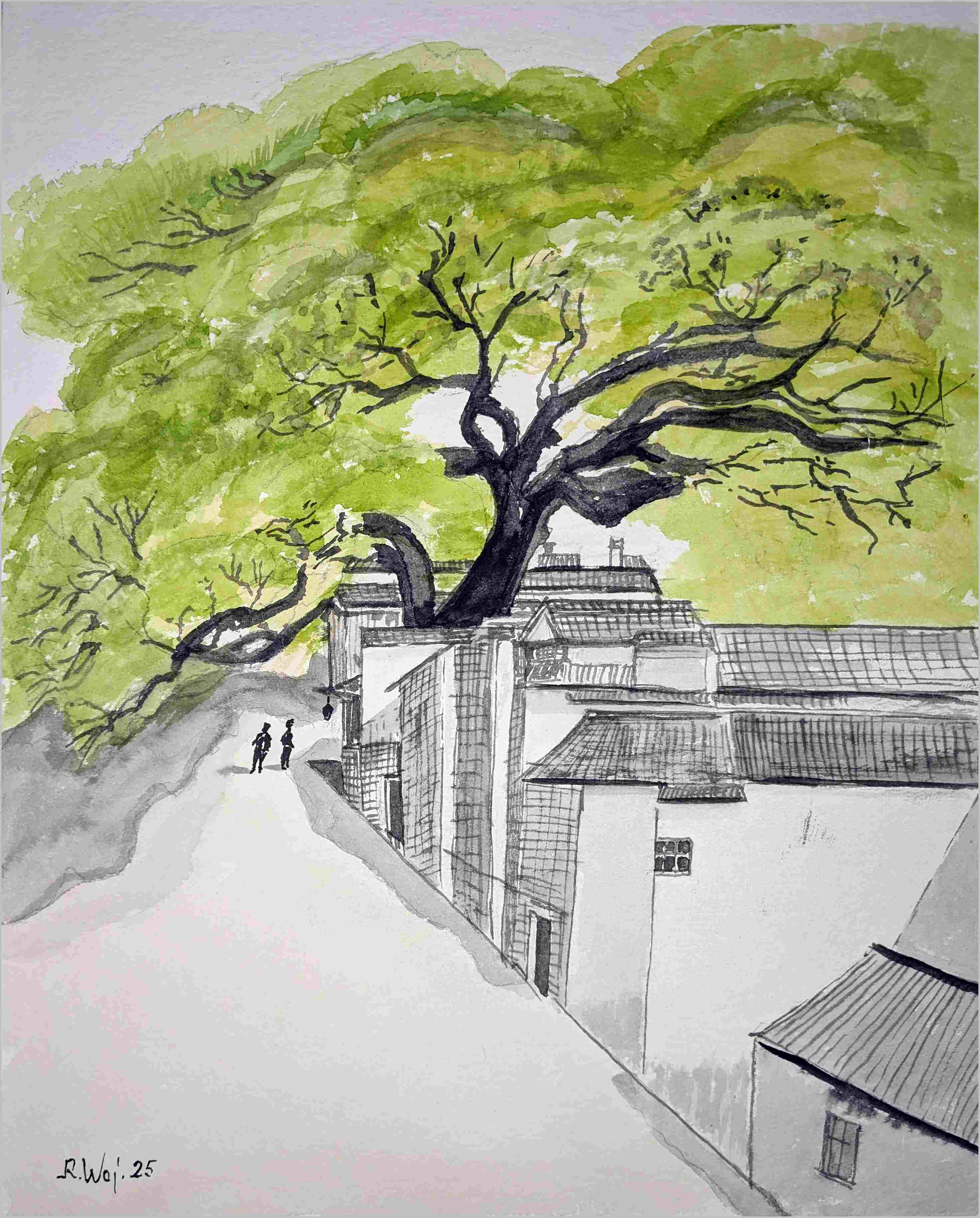   Siedlung mit Baumriese